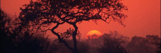 Niels1405's profile banner image