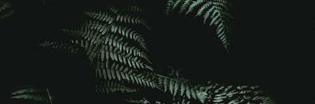 prayooga_'s profile banner image