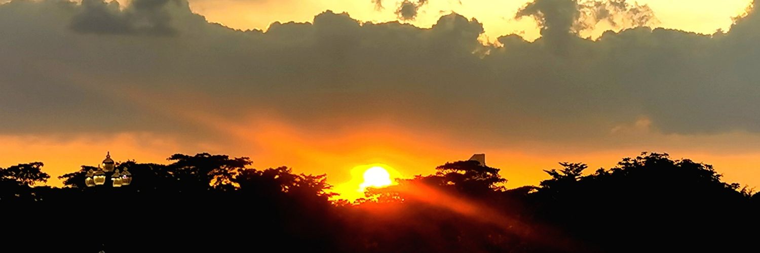 header image