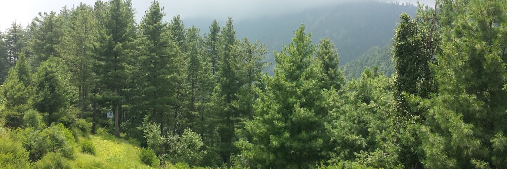ANWARSAYED2's profile banner image