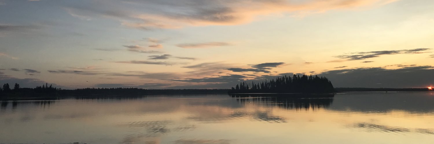 Heather Warkentin banner