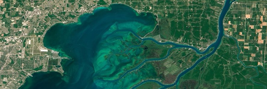 Randbee Consultants banner