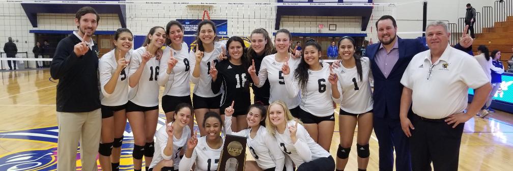 AIC Volleyball banner