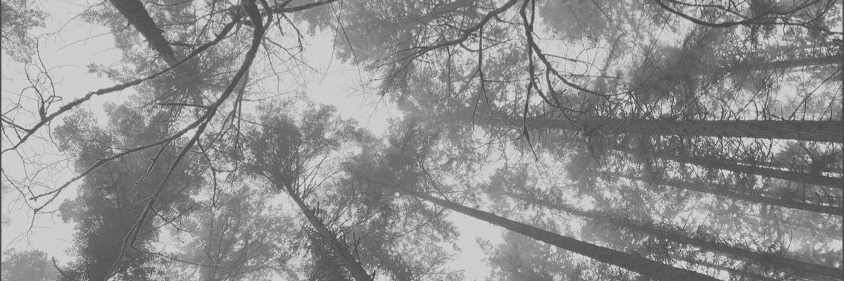 lauvestory's profile banner image