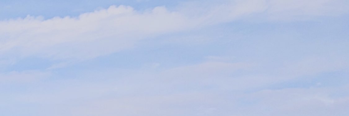 nortorlogy banner