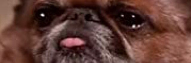 mutaito1980's profile banner image