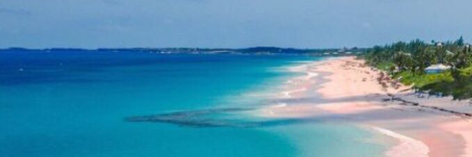SarahTaylor1297's profile banner image