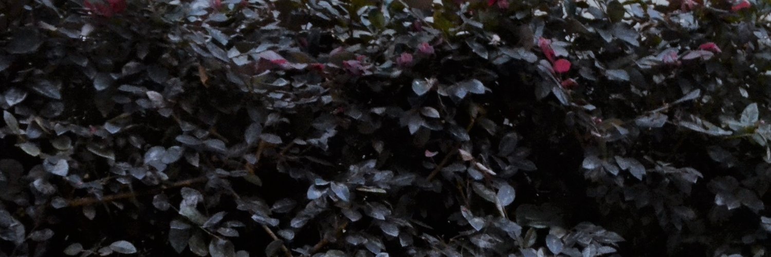 KOsnp's profile banner image