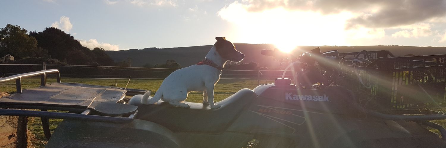 Leejits's profile banner image