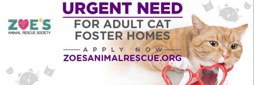 Zoe's Animal Rescue banner