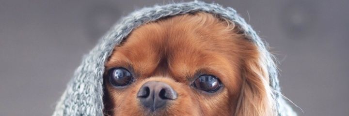YevugahW's profile banner image