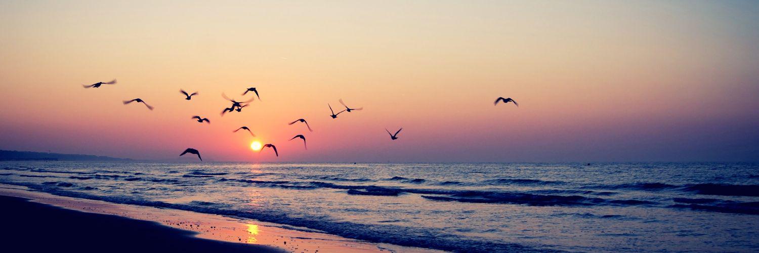 vibhas_misra's profile banner image