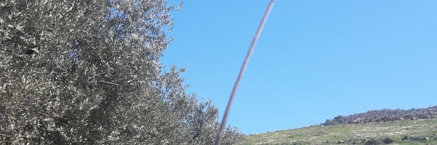 9alideniz's profile banner image