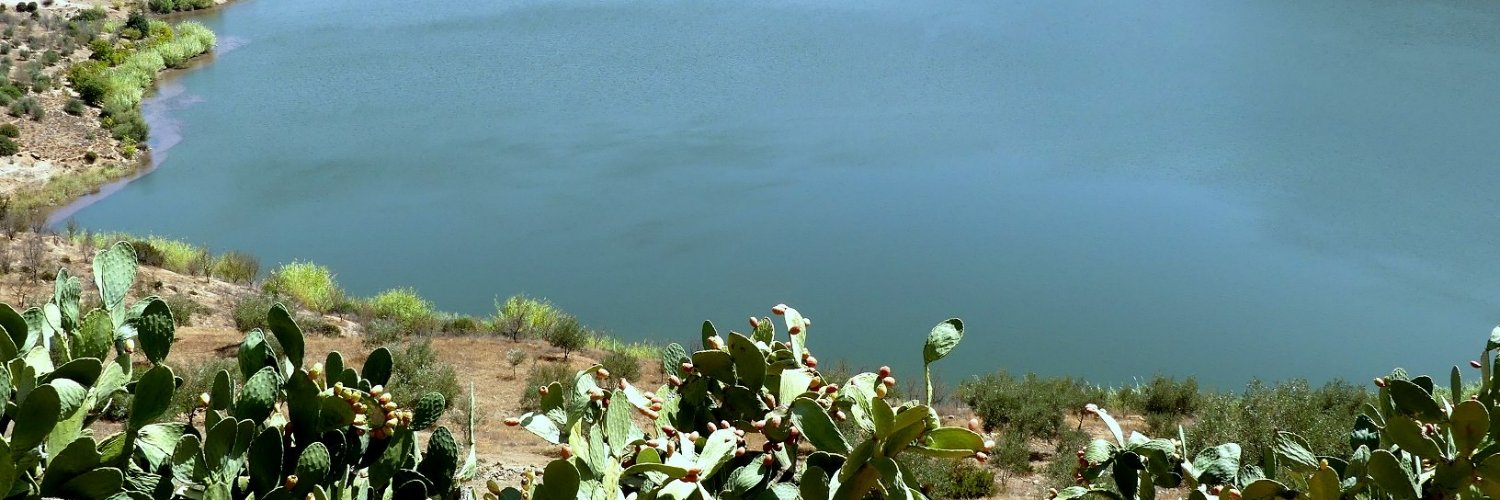 LPM_Morocco's profile banner image