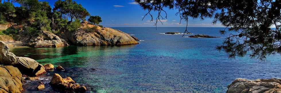 ProvenceActu.fr banner