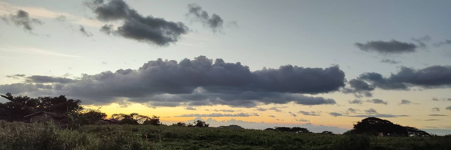 lyndooonn's profile banner image