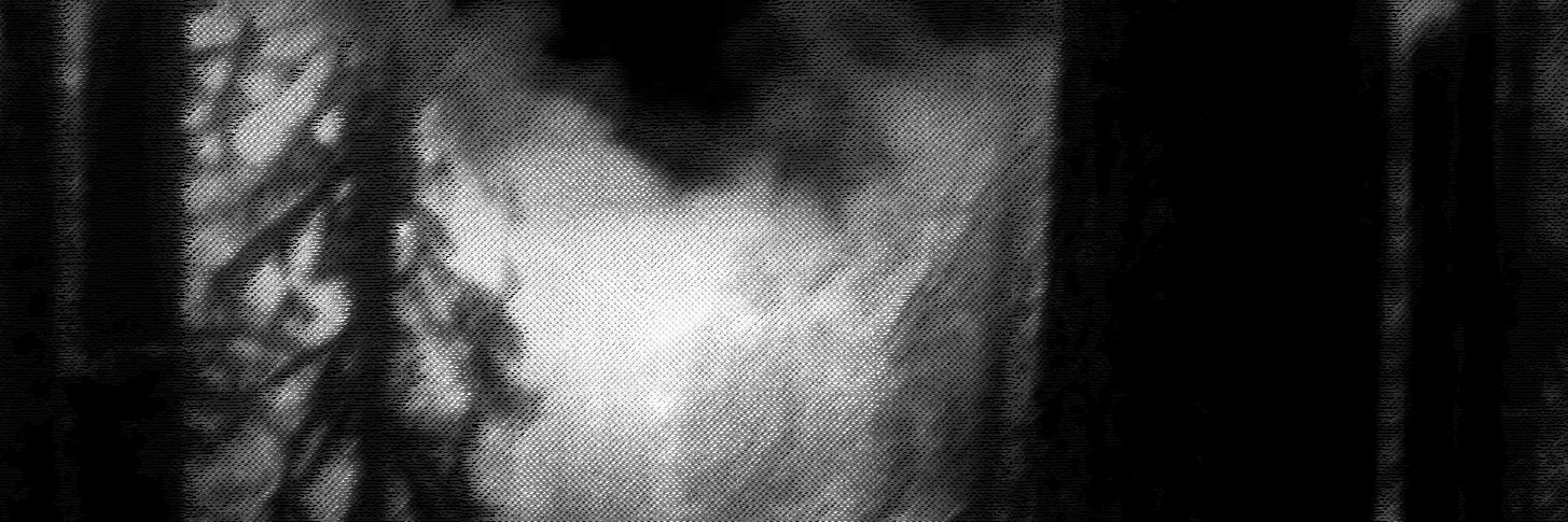 Leachy2k's profile banner image