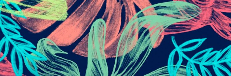 whitneybeal's profile banner image