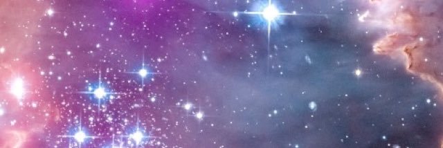 snitchesx's profile banner image