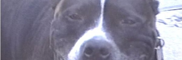 aka_c00lest Profile Banner