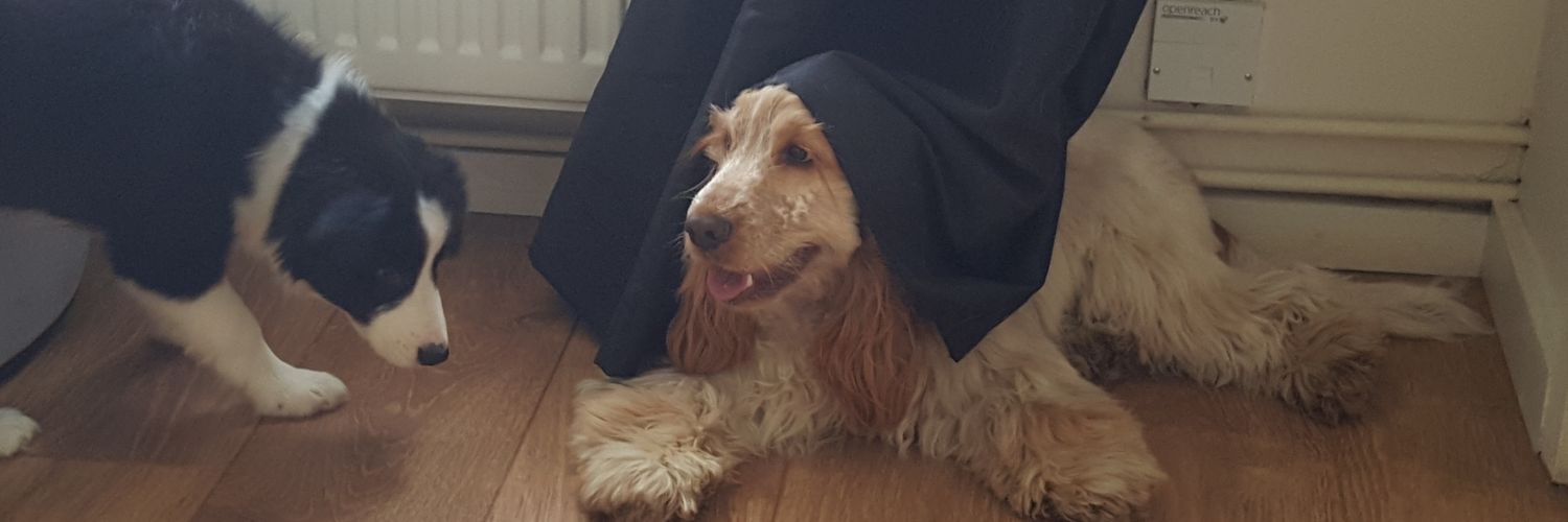 Darren Campbell banner