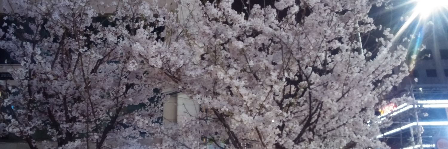 Smarakt's profile banner image
