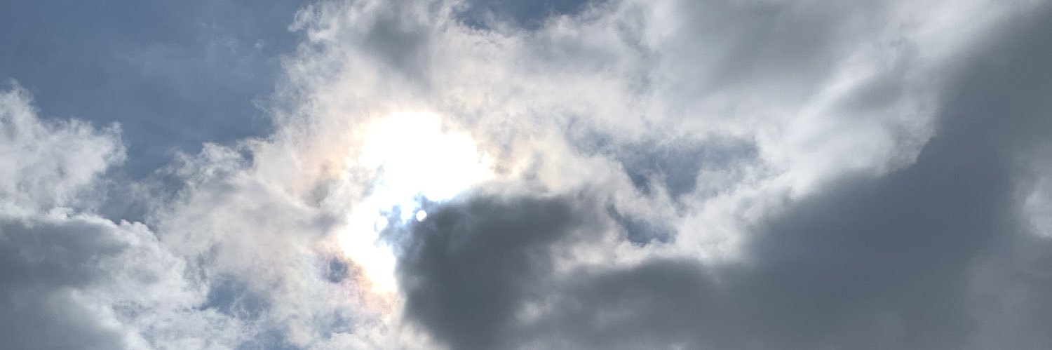 Homayemem Weli-Numbere MD MSc PhD banner