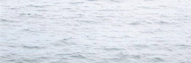 Teezy banner