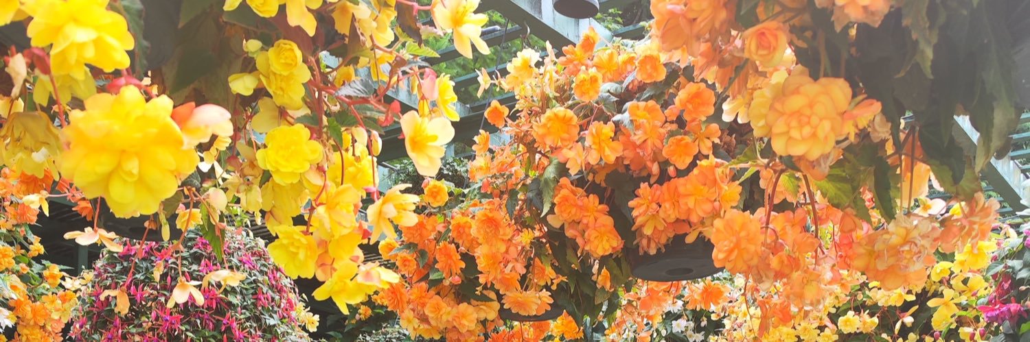 Deepak Subramani banner