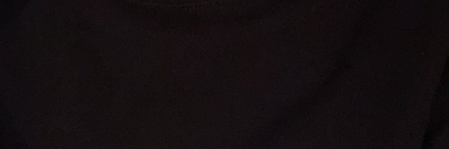 AURIGA. banner