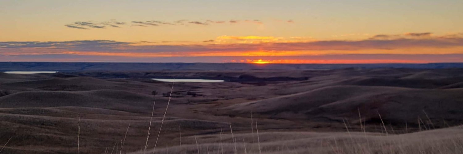 Ethan Luther banner