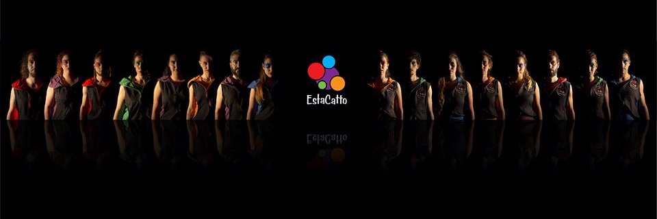 EstaCatto banner