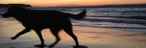 MagsLewis3 Profile Banner
