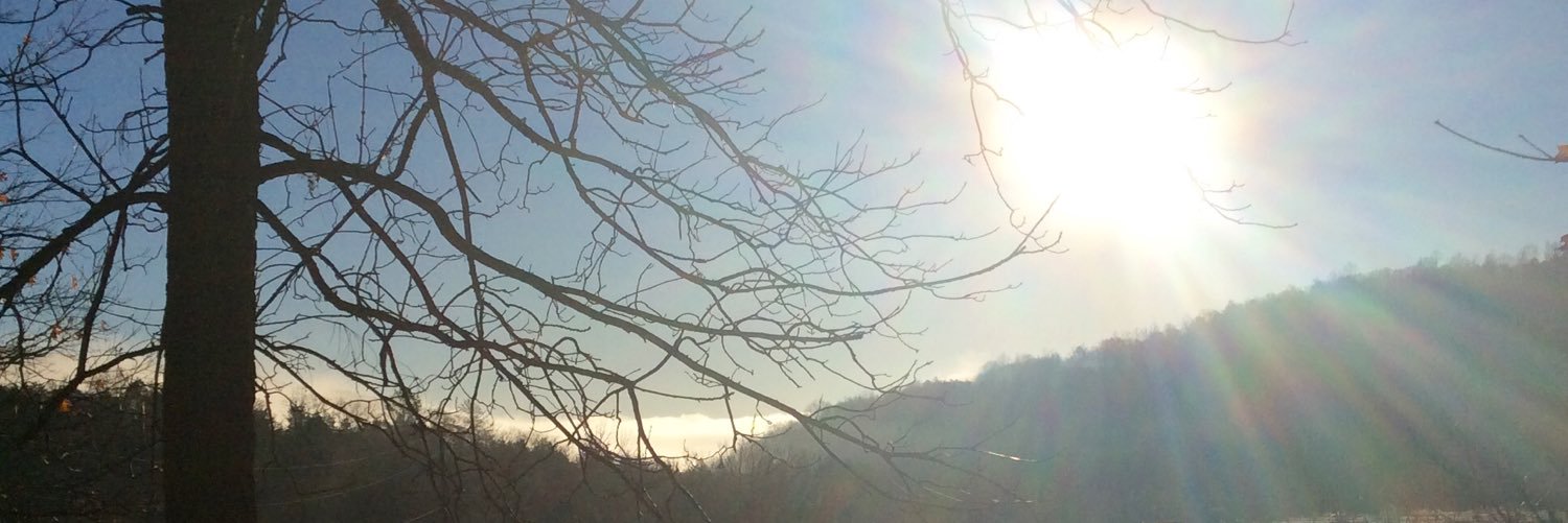 SandyColangelo's profile banner image