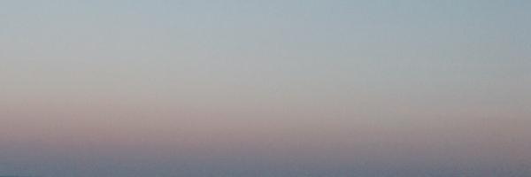 mook_olives Profile Banner