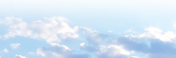 miakky's profile banner image