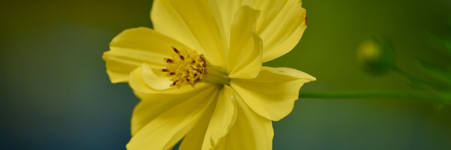 shyjithk's profile banner image