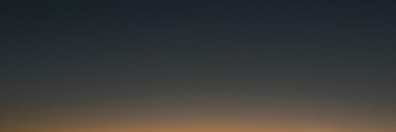 𝒗𝒊 banner
