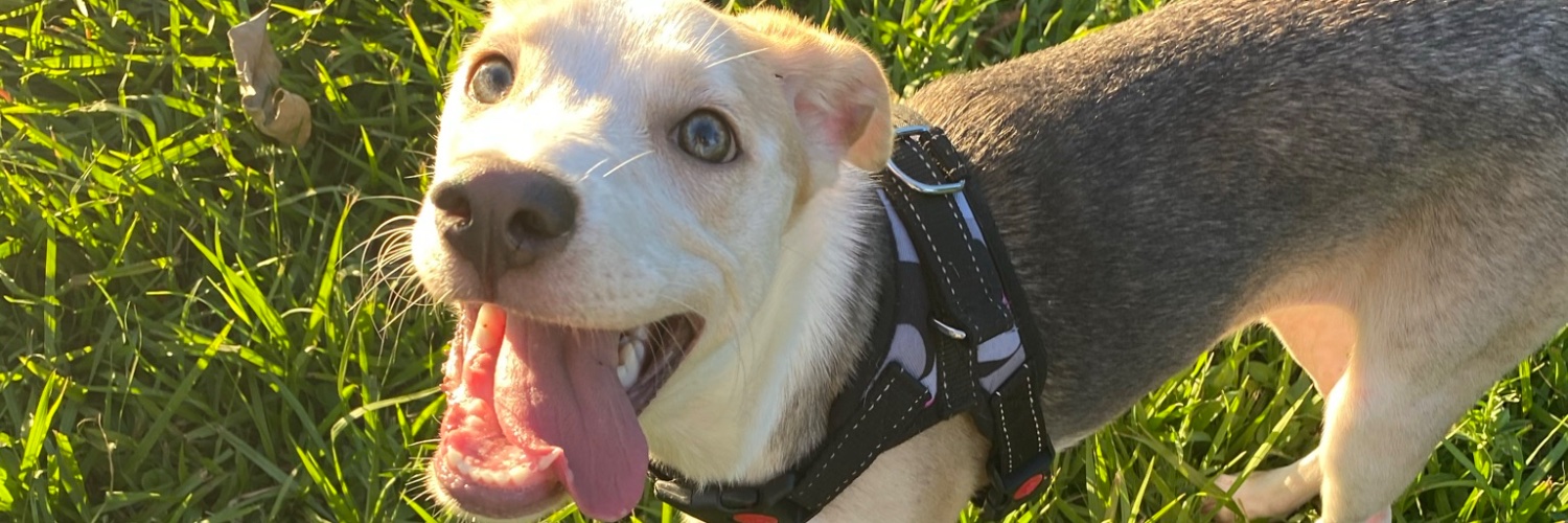JazminMarn's profile banner image