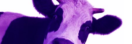 FionaRintoul's profile banner image