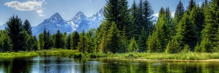 dr_iirraa's profile banner image