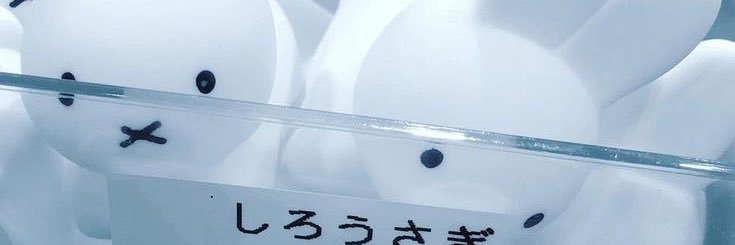 xuan ✧ banner