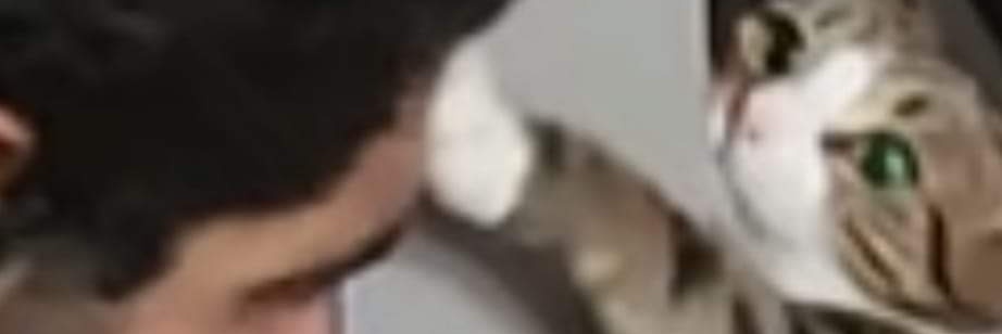 Patience Zero banner