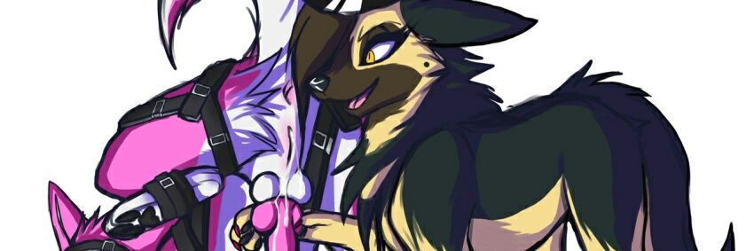 Haileevee13's profile banner image