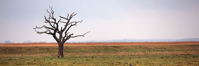 Michael DeBusk banner