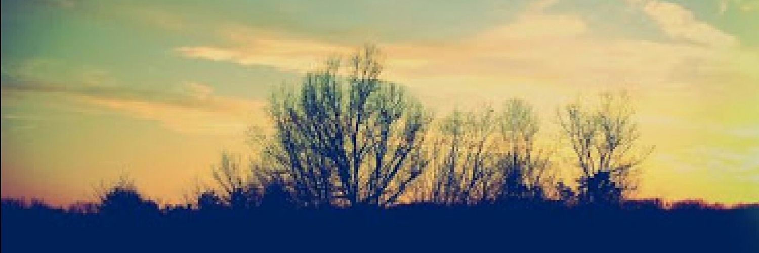 edicute05's profile banner image