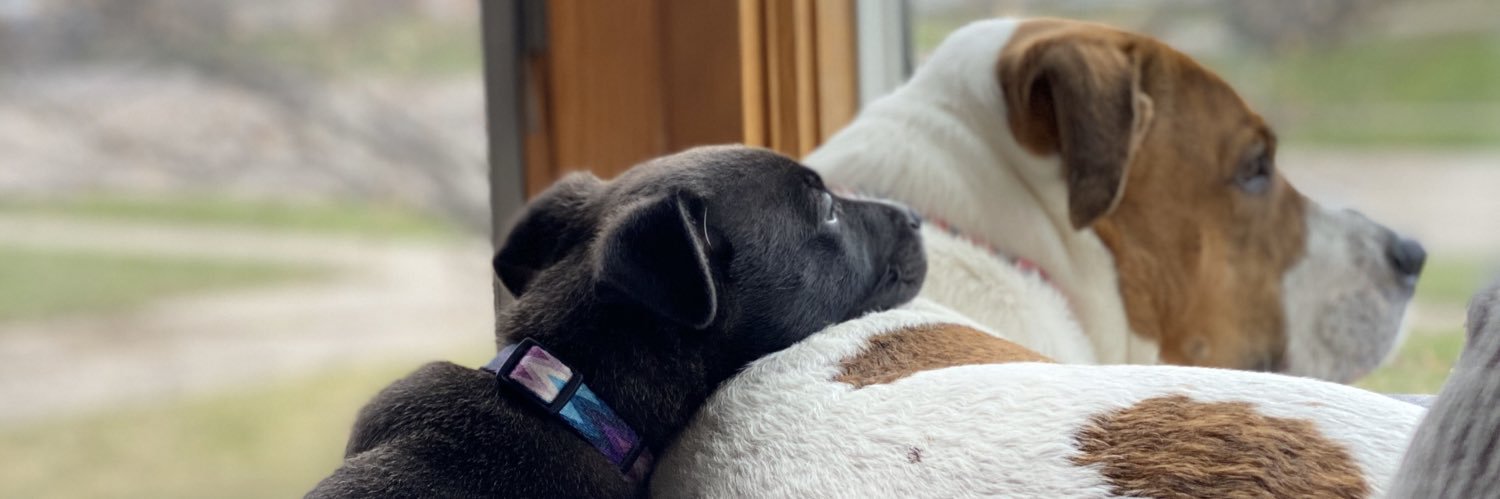 SiennaSurber's profile banner image