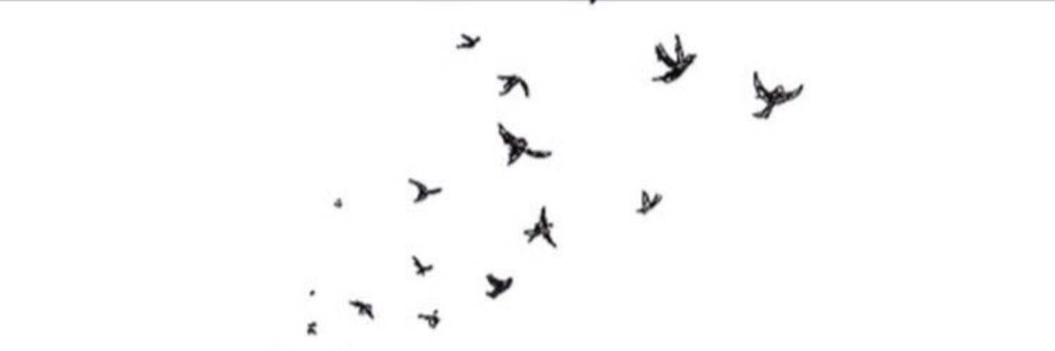 166_nada11's profile banner image