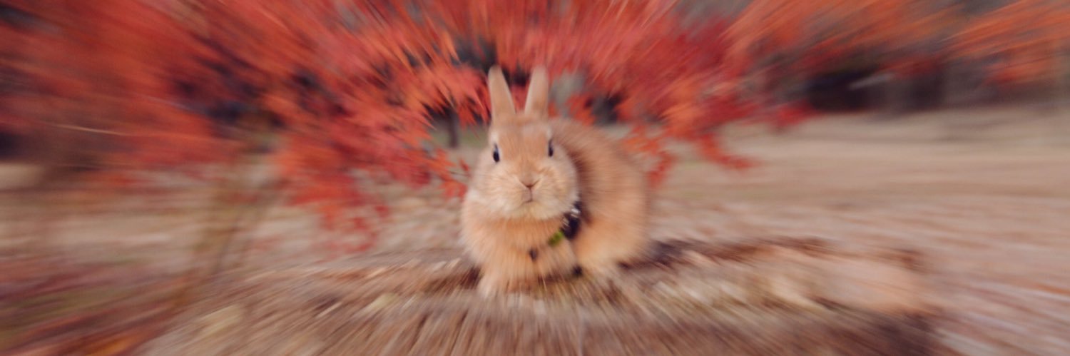 𓃹 hiro 𓃹🦖ﾏｶﾛﾝｷﾑﾁﾁｹﾞ banner