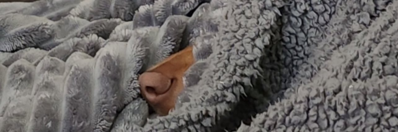skbenish's profile banner image